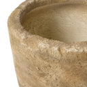 Aziel Planter