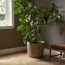 Aziel Planter