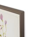 Oxalis Debilis No. 1 By Laurel-Dawn Latshaw