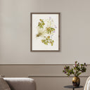 Oxalis Debilis No. 2 By Laurel-Dawn Latshaw