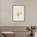 Papaveraceae No. 1 By Laurel-Dawn Latshaw