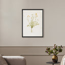 Papaveraceae No. 1 By Laurel-Dawn Latshaw