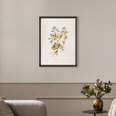 Viola No. 2 By Laurel-Dawn Latshaw