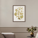 Ranunculs Abortivus No. 1 By Laurel-Dawn Latshaw