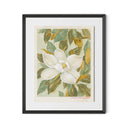 Magnolia I By Laurel-Dawn Latshaw