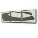 Organic Curves 2 Triptych By FH Art Studio