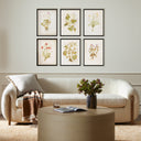 Herbarium Set By Laurel-Dawn Latshaw