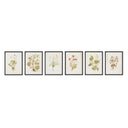 Herbarium Set By Laurel-Dawn Latshaw
