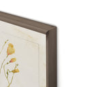 Herbarium Set By Laurel-Dawn Latshaw