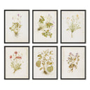 Herbarium Set By Laurel-Dawn Latshaw
