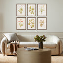 Herbarium Set By Laurel-Dawn Latshaw