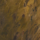 Chihuahuan Soil by Katherine Hunsaker