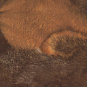 Deep Earth Diptych By Brooke Noel Morgan