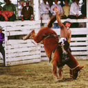 Palm Springs Rodeo By Slim Aarons
