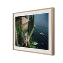 GIACOMO MONTEGAZZA BY SLIM AARONS