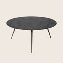 Luna Coffee Table