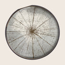 Slice Tray