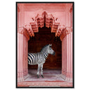 Zebras Apartment is Coral Pink