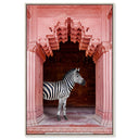 Zebras Apartment is Coral Pink