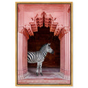 Zebras Apartment is Coral Pink