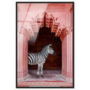 Zebras Apartment is Coral Pink