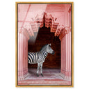 Zebras Apartment is Coral Pink