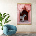 Zebras Apartment is Coral Pink