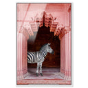 Zebras Apartment is Coral Pink