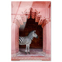 Zebras Apartment is Coral Pink