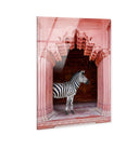 Zebras Apartment is Coral Pink