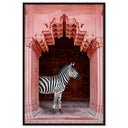 Zebras Apartment is Coral Pink
