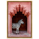 Zebras Apartment is Coral Pink