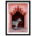 Zebras Apartment is Coral Pink