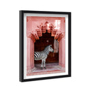 Zebras Apartment is Coral Pink