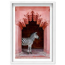 Zebras Apartment is Coral Pink