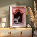 Zebras Apartment is Coral Pink