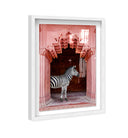 Zebras Apartment is Coral Pink