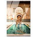 Animal Bath