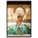 Animal Bath