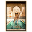 Animal Bath