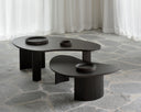 Boomerang Coffee Table