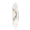Winged Soul Surfboard Flat