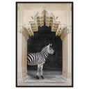 Zebras Apartment is Cream