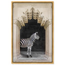Zebras Apartment is Cream