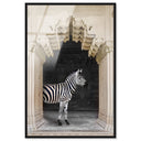 Zebras Apartment is Cream