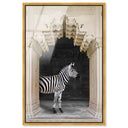 Zebras Apartment is Cream