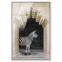 Zebras Apartment is Cream