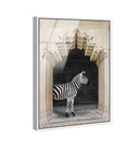 Zebras Apartment is Cream