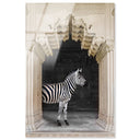 Zebras Apartment is Cream