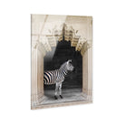 Zebras Apartment is Cream